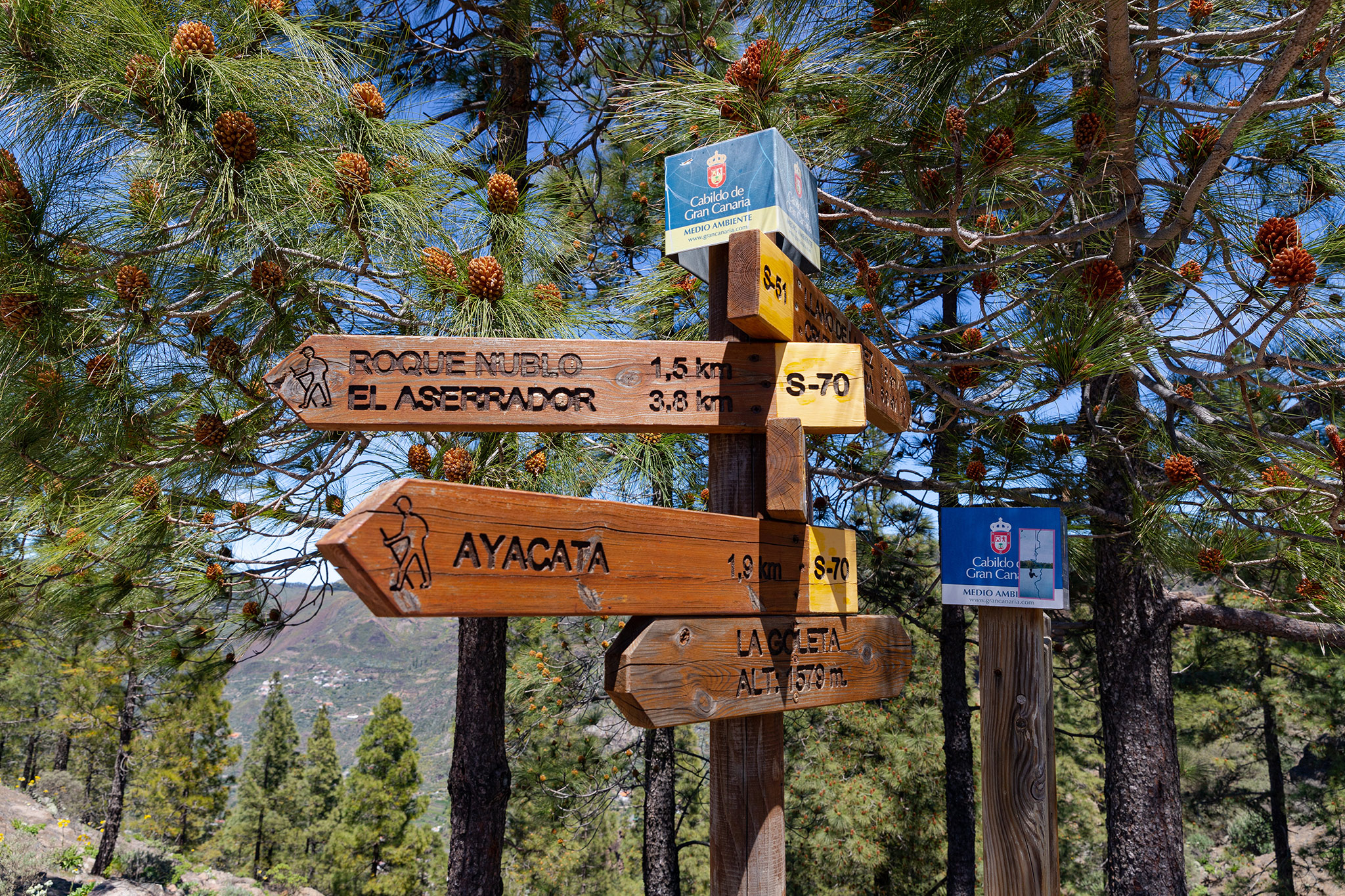 Roque Nublo and Rural del Nublo Park, Gran Canaria,  Canary Islands
